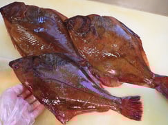 アカガレイ　羅臼　未利用魚