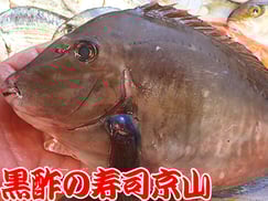 江東区枝川まで美味しいお寿司をお届けします。宅配寿司の京山です。お正月も営業します！