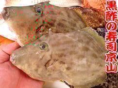 千代田区　宅配可能　寿司　内神田