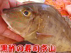 江東区白河まで美味しいお寿司をお届けします。宅配寿司の京山です。お正月も営業します！