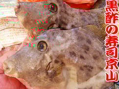 江東区猿江まで美味しいお寿司をお届けします。宅配寿司の京山です。お正月も営業します！