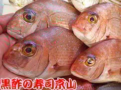 江東区大島まで美味しいお寿司をお届けします。宅配寿司の京山です。お正月も営業します！