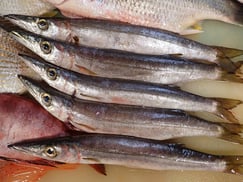 カマスの寿司　デリバリー　出前