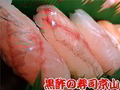 大量注文　寿司　中央区　京橋