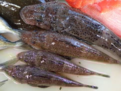 イネゴチの寿司　デリバリー