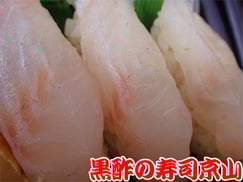 オフィスデリバリー　江東区　平野