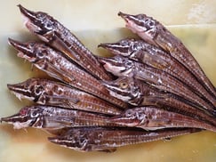 ハッカクはとても人気の魚でメニュー掲載するとすぐ無くなってしまいます。メニューにあったら早めのご予約がおすすめです！