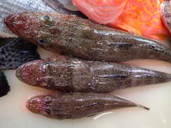 イネゴチの寿司　デリバリー