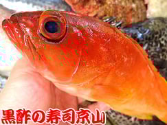 千代田区　宅配可能　寿司　神田相生町