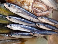 トビウオの寿司　デリバリー　出前