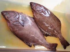アブラガレイ　北海道　未利用魚