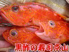 江東区亀戸まで美味しいお寿司をお届けします。宅配寿司の京山です。お正月も営業します！