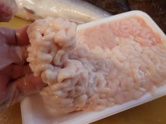 真鱈の白子　高級魚　寿司