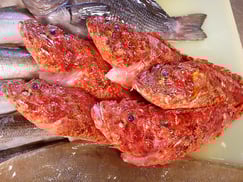 オニカサゴ　寿司　出前