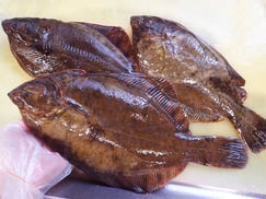 千代田区　寿司　出前　羅臼産　高級魚　クロガシラガレイ