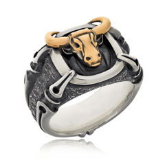 Wappen-Ring in Silber mit individuellen Logo in Rotgold aus der Herrenschmuck-Kollektion Gremlin von der Goldschmiede OBSESSION