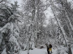 Ingrid Sparbier, guide du Pays Cathare, visites guidées en français, anglais et allemand