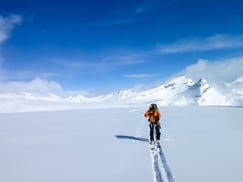 大氷原の上を縦走中