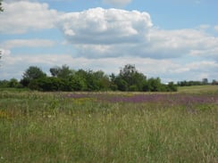 Weiherhaus Benjeshecke (Foto: R. Zeiner)