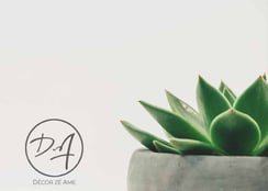 Plante artificielle pas chère