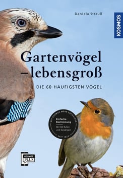 Gartenvögel lebensgross