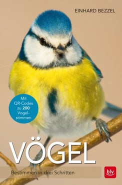 Vögel - Bestimmen in drei Schritten
