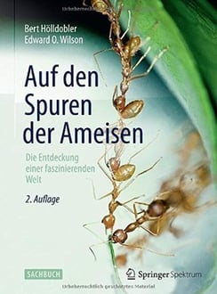 Auf den Spuren der Ameisen