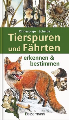 Tierspuren und Fährten