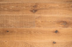 Nr.15 Räuchereiche Charakter Buran sägerau Burgdielen