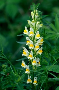 Fujifilm X-H1 & Fujinon XF 16-55mm / ISO 200 / 44mm / f/4.0 / 1/40sek. 