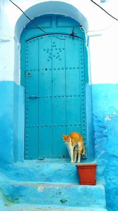 ドアの前での撮影お勧めです。