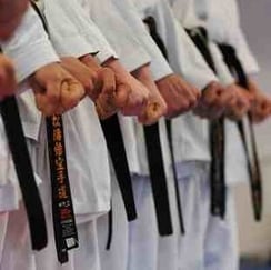 Unser Ziel - Ihr Kind zum schwarzen Gürtel begleiten