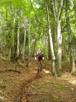 Jura, La Pesse, textile, location, location vélo, VTT, vélo assistance électrique, randonnée, randonnée nordique, randonnée pédestre, nordic Walking, marche nordique, trail, magasin de sport, réparation, entretien, service, conseil