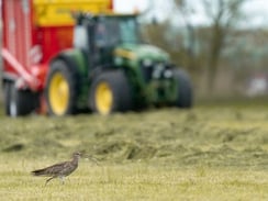 (c) Stefan Hannabach