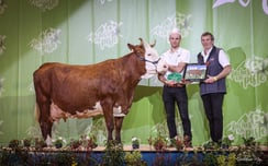 MINETTE (Denverse) Pelloux Denis (74)