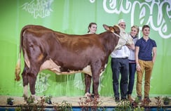 PRINCESSE (Millet)   Gaec EFR Aulps de Montmin (74)