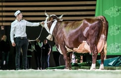 IDEALE (Vortex) au Gaec le Picard (74)