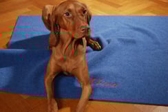 ブランケット ２