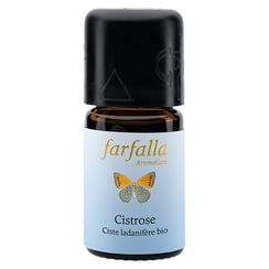 ロックローズBIO野生