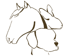 praxis-spreyers Webseite!