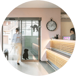 Firmenfoto Corporate - Ihre Immobilie im Fokus