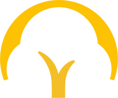 shining tree logo about