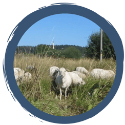 Folge 12: Sommerurlaub