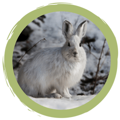 Eure Ergebnisse der Foto-Challenge: #winterlaune