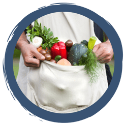 Grundprinzipien zum nachhaltigen Gärtnern für Selbstversorger