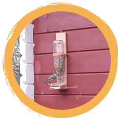 Vogelfutterspender mit Nachfüllfunktion bauen