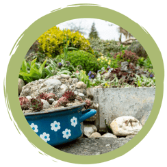 Insektenfreundlich durchs Jahr