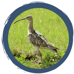 Mit dem Rucksack auf Forschungsreise