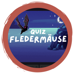 Fledermaus-Quiz - der Wissens-Check!