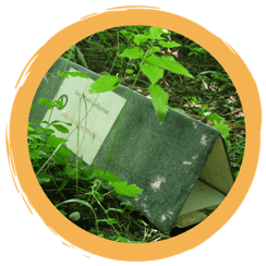 Auf Spurensuche gehen mit dem Igeltunnel